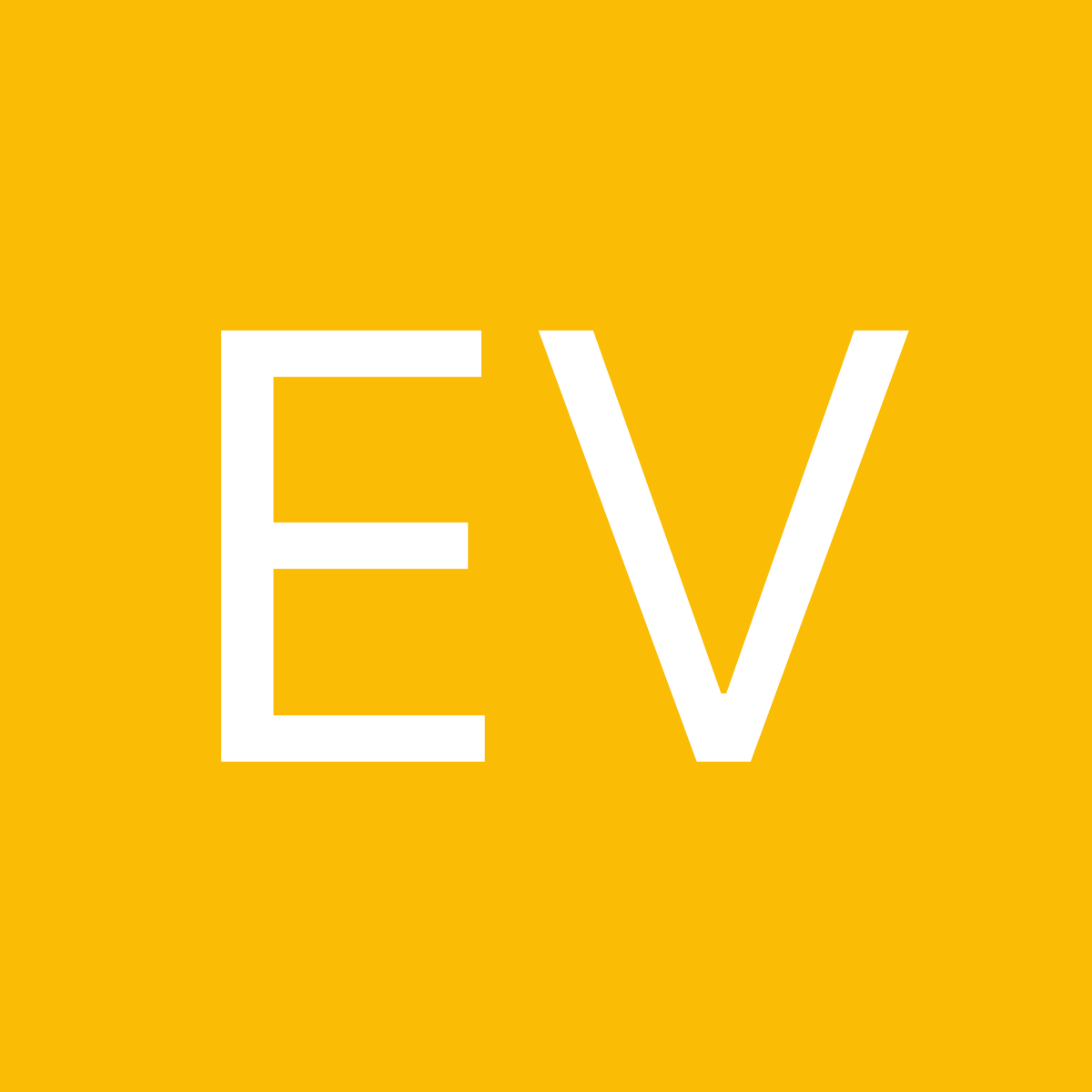 Erik V. CEO