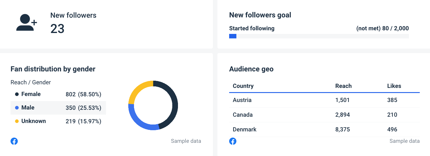 Facebook page report template audience