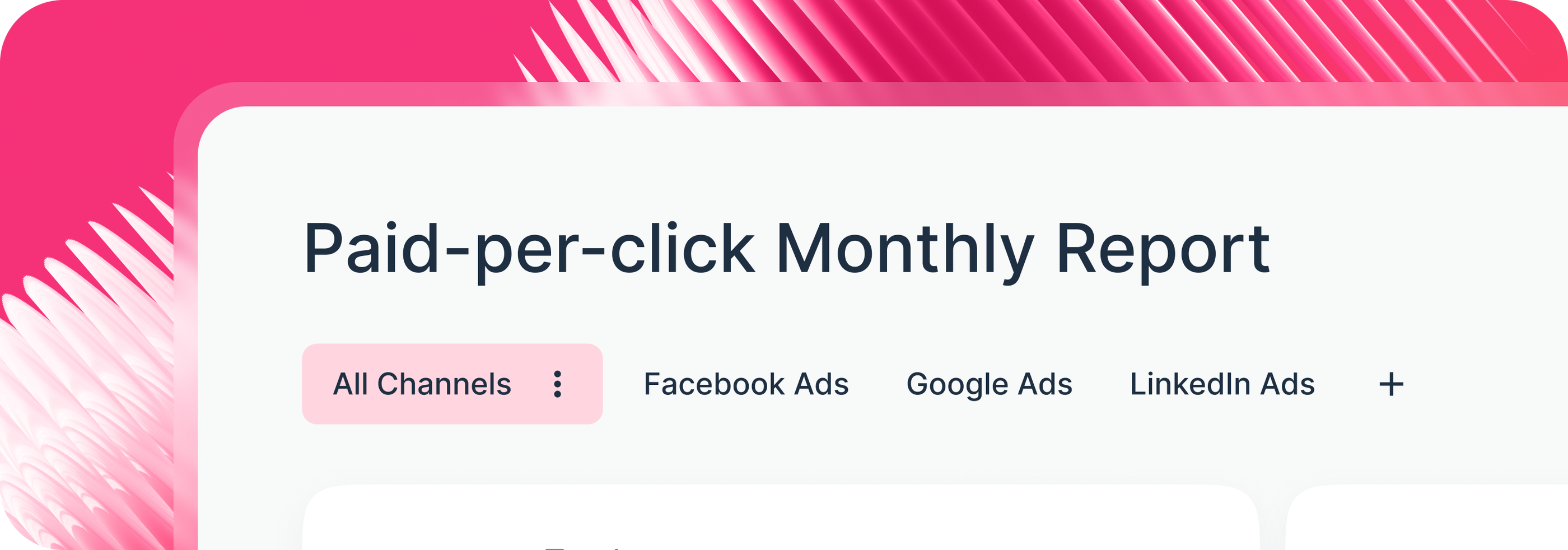 Tabs on Whatagraph - Dashboard interface with reports for paid marketing channels.